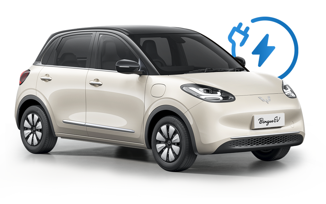 Wuling Binguo EV